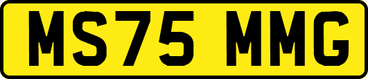 MS75MMG
