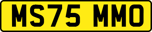 MS75MMO