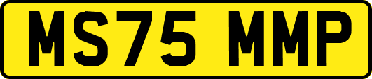 MS75MMP