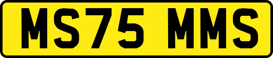 MS75MMS