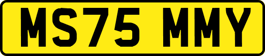 MS75MMY