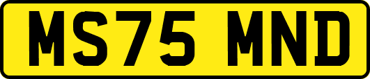 MS75MND