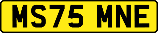 MS75MNE