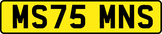 MS75MNS