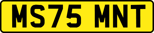 MS75MNT