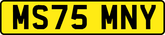MS75MNY