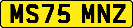MS75MNZ