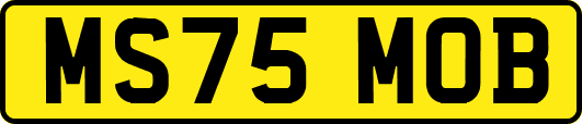 MS75MOB