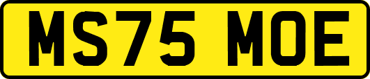 MS75MOE