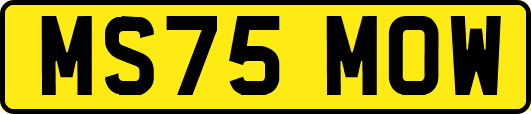 MS75MOW