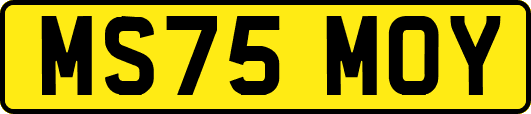 MS75MOY
