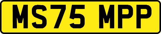MS75MPP