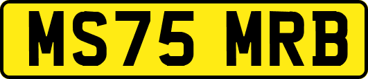 MS75MRB