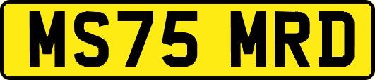 MS75MRD