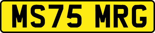 MS75MRG