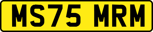 MS75MRM