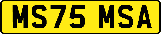 MS75MSA