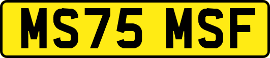 MS75MSF