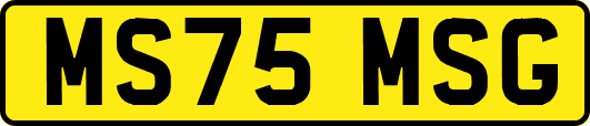 MS75MSG