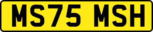 MS75MSH