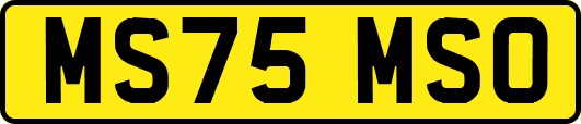 MS75MSO