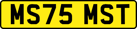 MS75MST