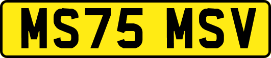 MS75MSV