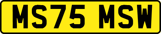 MS75MSW