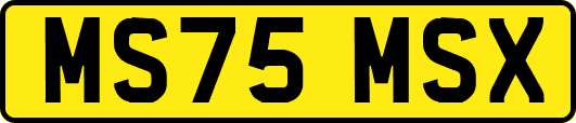 MS75MSX