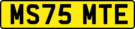 MS75MTE