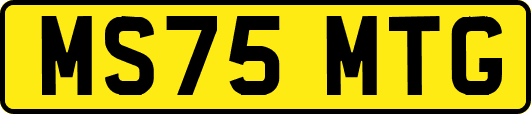 MS75MTG