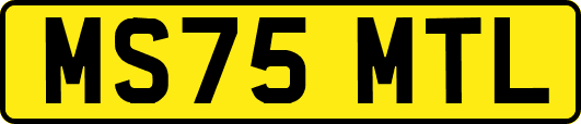 MS75MTL