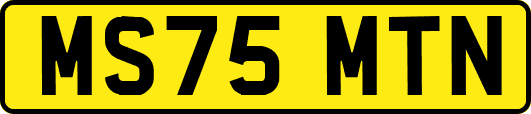 MS75MTN
