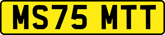 MS75MTT