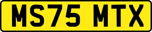 MS75MTX