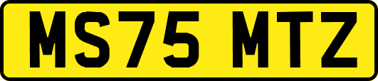 MS75MTZ