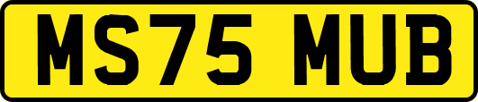 MS75MUB