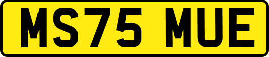 MS75MUE