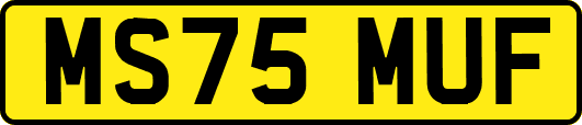 MS75MUF