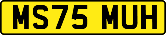 MS75MUH