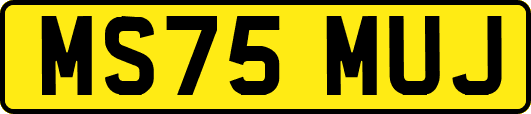 MS75MUJ