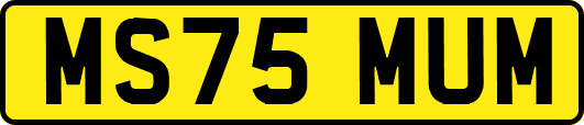 MS75MUM