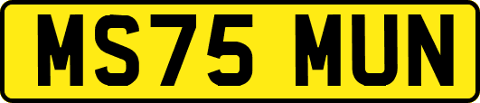 MS75MUN