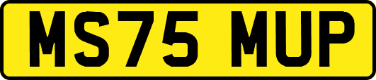 MS75MUP