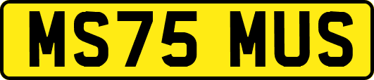 MS75MUS