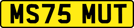 MS75MUT