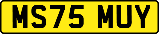 MS75MUY