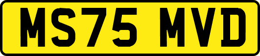 MS75MVD
