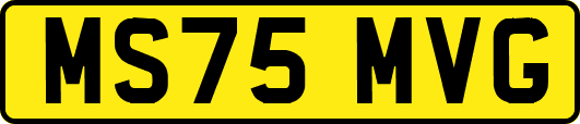 MS75MVG