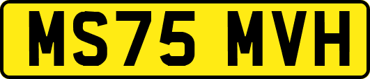 MS75MVH